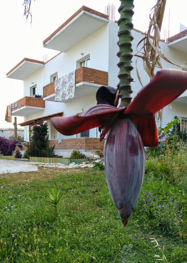 Penelope'S Rooms Dhërmi Exterior foto
